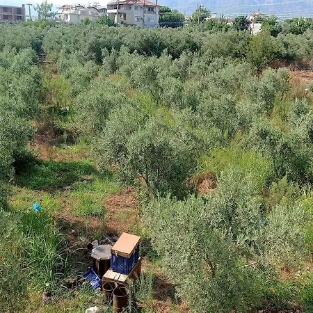 아파트 Sakin Huzurlu Tatil