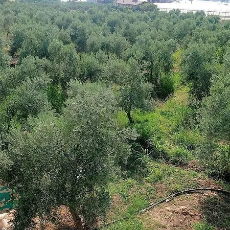 Daire Sakin Huzurlu Tatil